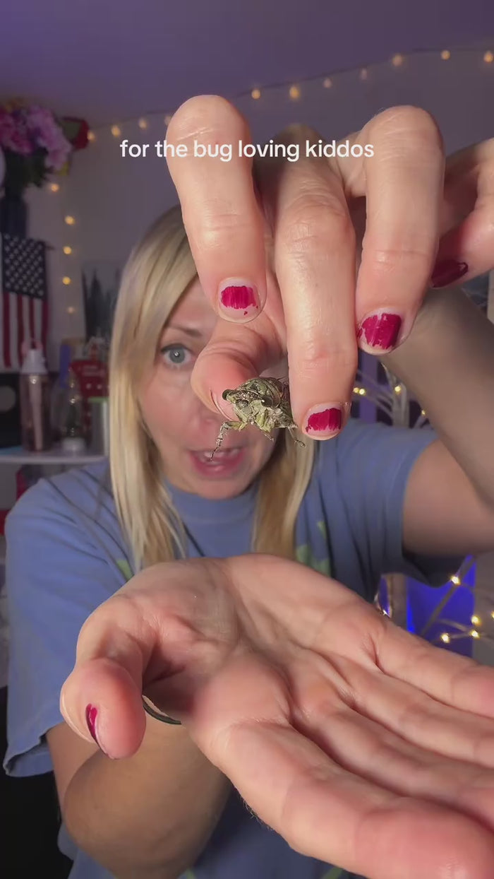 Video thumbnail